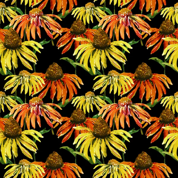 Echinaceas seamles pattern — Stock Photo, Image