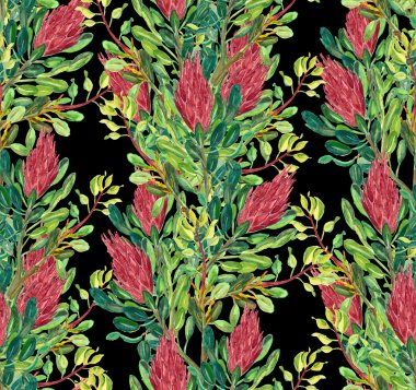 Proteas sugarbush seamles desen