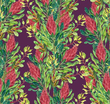 Proteas sugarbush seamless pattern clipart