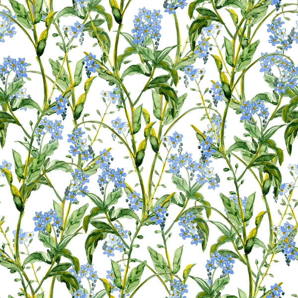 Forget me not seamless pattern — Stock Photo, Image