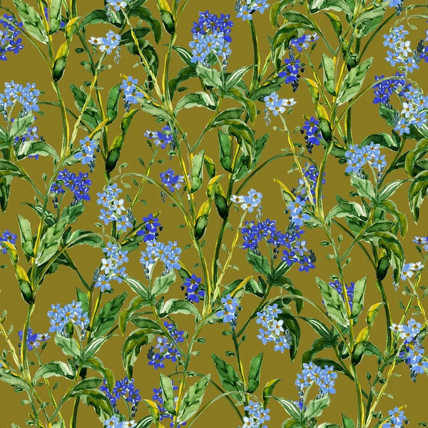 Forget me not seamless pattern — Stock Photo, Image