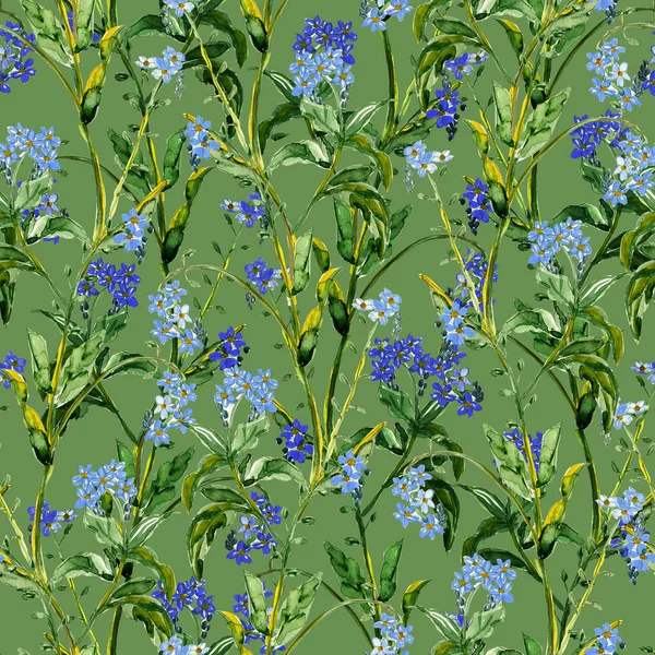 Forget me not seamless pattern — Stock Photo, Image
