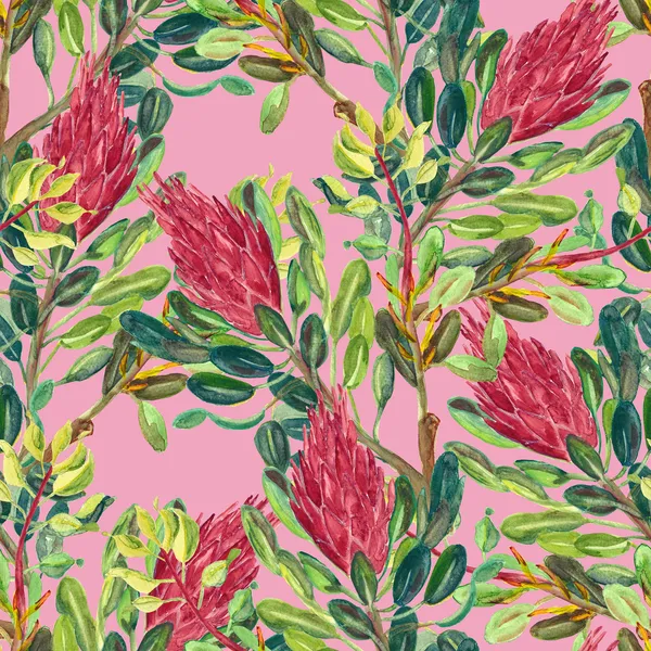 Proteas sugarbush seamles desen