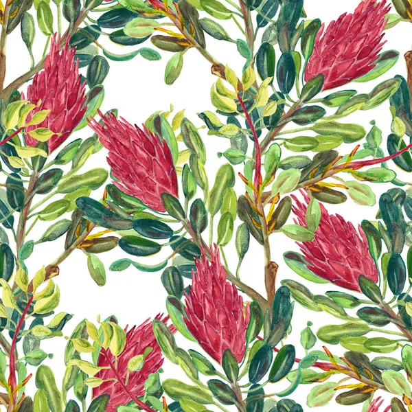 Proteas sugarbush seamles desen