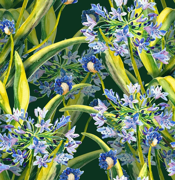 Padrão sem costura de Agapanthus — Fotografia de Stock