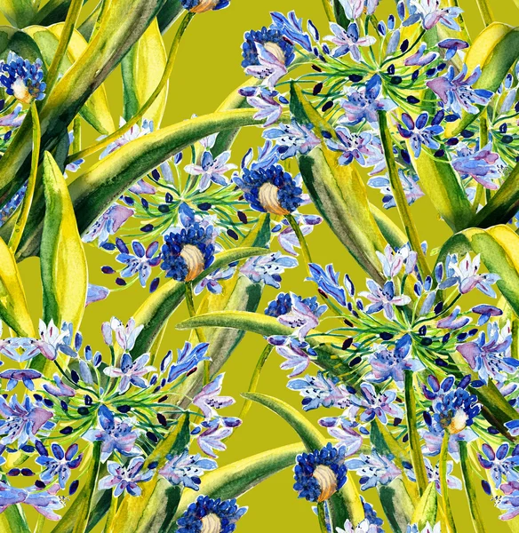 Agapanthus seamless mönster — Stockfoto