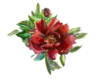 Kırmızı Şakayık