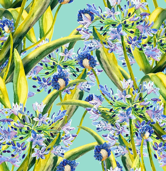 Agapanthus seamless pattern — Stock Photo, Image