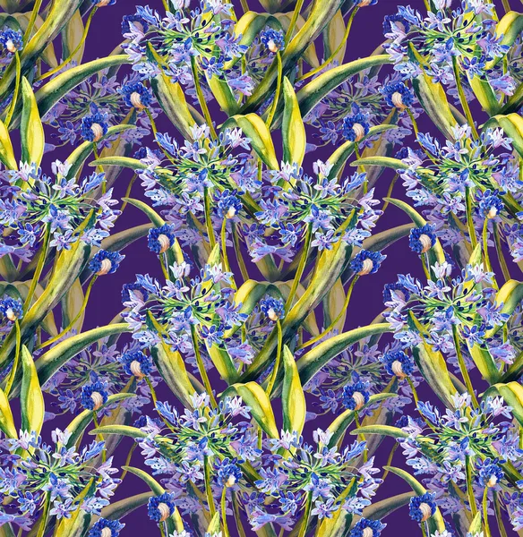 Agapanthus modello senza cuciture — Foto Stock