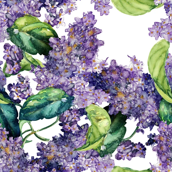 Lilac sömlöst mönster — Stockfoto