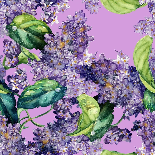 Lilac sömlöst mönster — Stockfoto