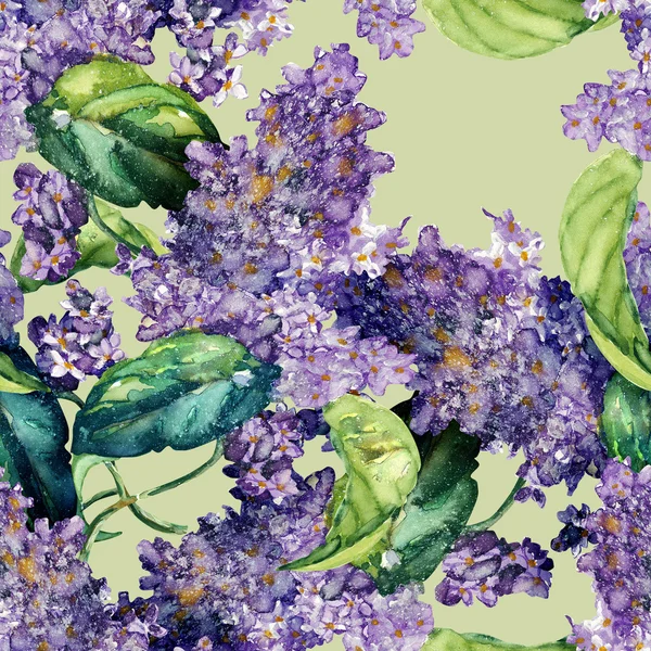 Lilac sömlöst mönster — Stockfoto
