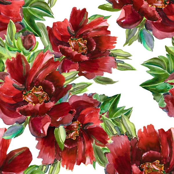 Red poenies seamless pattern — Stock Photo, Image