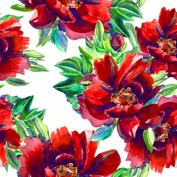 Red poenies seamless pattern — Stock Photo, Image