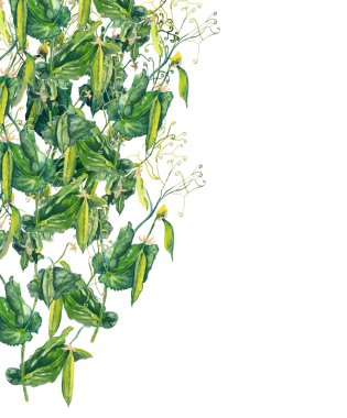 bezelye seamless modeli