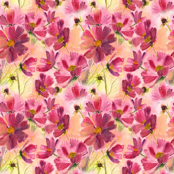 Cosmos flower seamless pattern — Stock Photo, Image