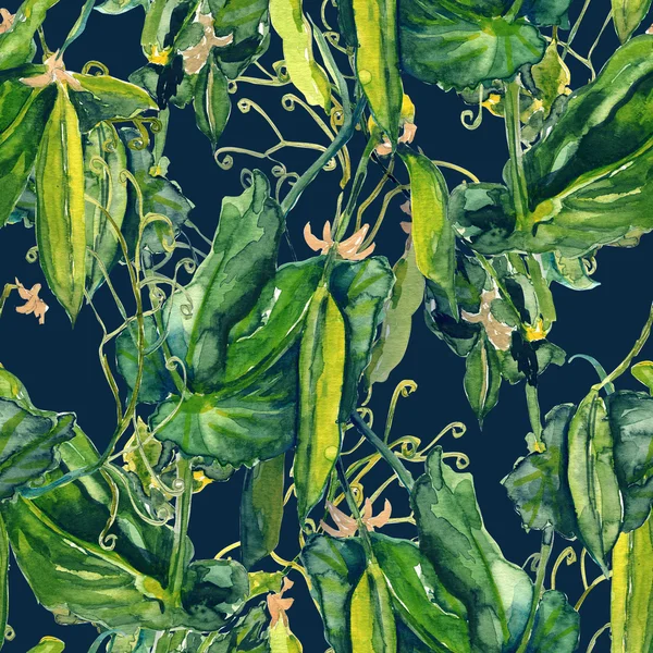 エンドウ豆のシームレスなパターン — ストック写真