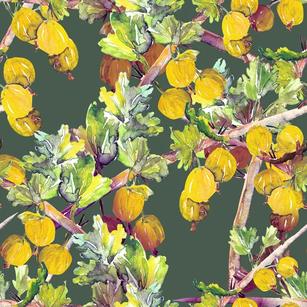 Gooseberries seamless pattern — Stock Photo, Image