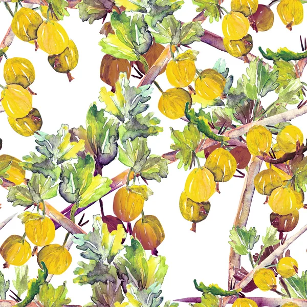 Gooseberries seamless pattern — Stock Photo, Image