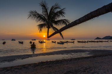 gün batımında tekne ile lagün üzerinde palmiye ağacı