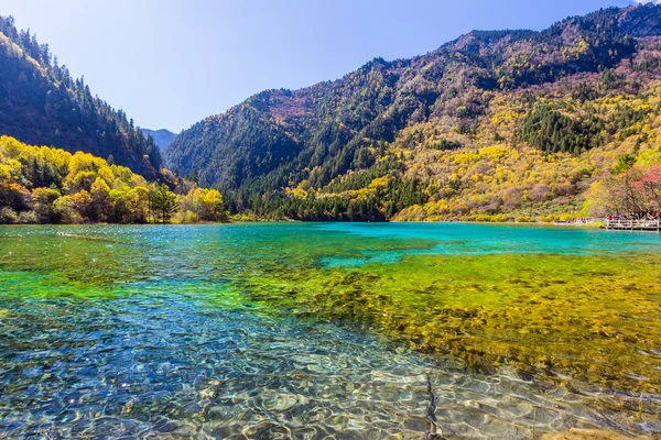 Jiuzhaigou zainteresowania zabytkowej i malowniczej doliny — Zdjęcie stockowe