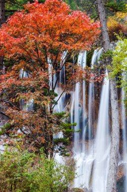 jiuzhaigou içinde güzel bir şelale