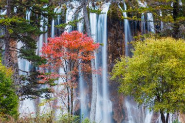 jiuzhaigou içinde güzel bir şelale