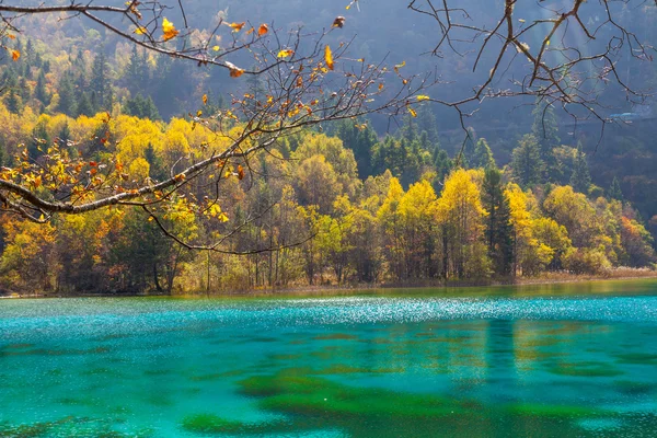 Jiuzhaigou Tal landschaftlich und historisch interessantes Gebiet — Stockfoto