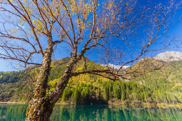 Jiuzhaigou Tal landschaftlich und historisch interessantes Gebiet — Stockfoto