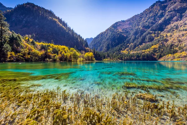 Jiuzhaigou Valley Scenic and Historic Interest Area — Stock Photo, Image