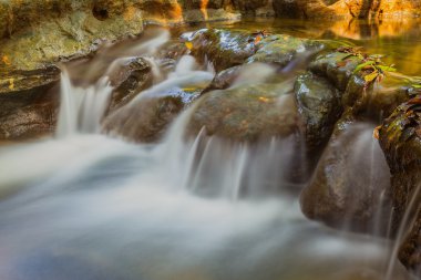 derin orman güzel şelale