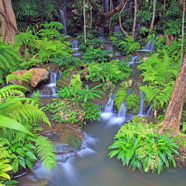 Pequena cachoeira jardim tropical — Fotografia de Stock