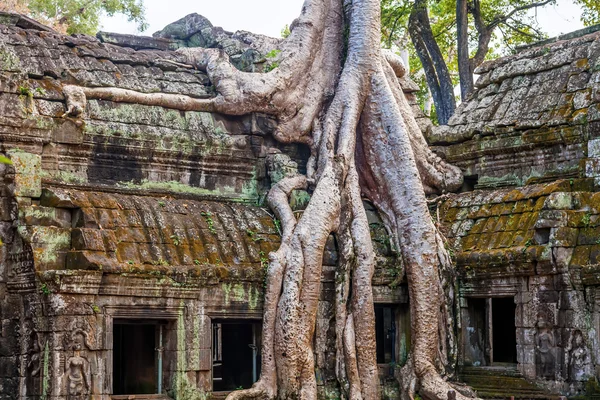 Ta Prohm Castle, Angkor Thom — Stock Photo, Image