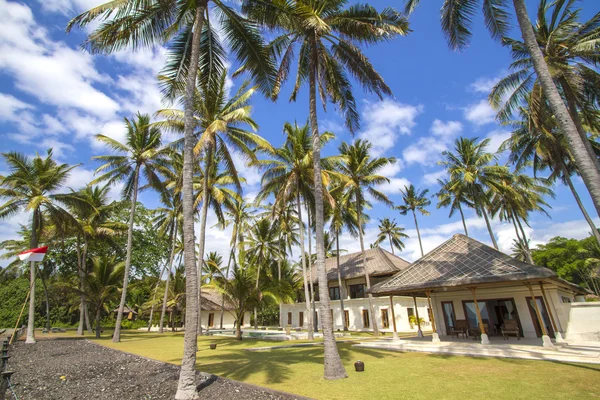 Hotel e palme — Foto Stock