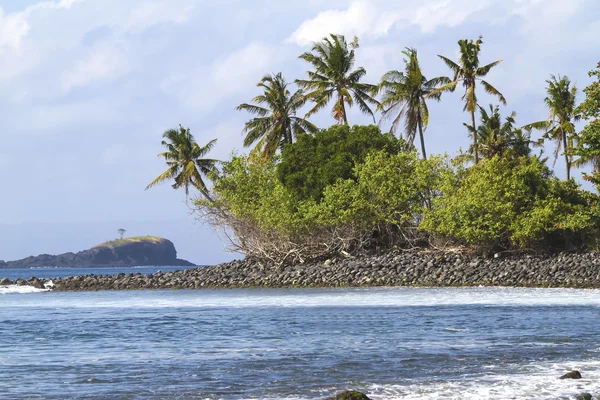 Kust landschap met palmen — Stockfoto