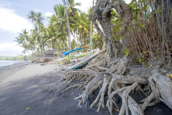 Barche sulla spiaggia — Foto Stock