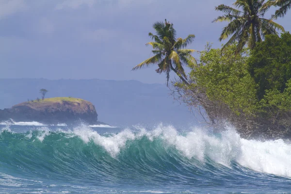 蓝色波浪和棕榈树 — 图库照片