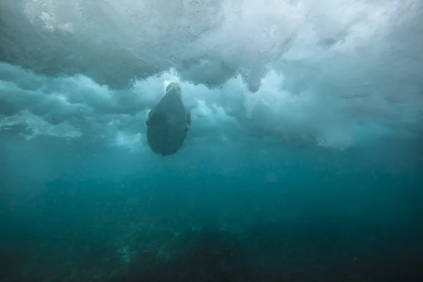 Жіночий серфер під водою — стокове фото