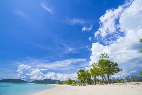 Paesaggio marino — Foto Stock