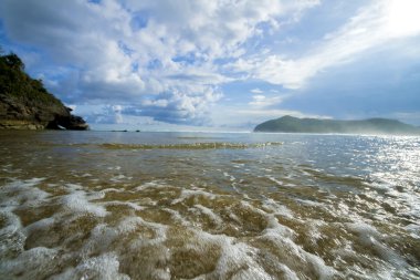 plaj ve tropikal deniz