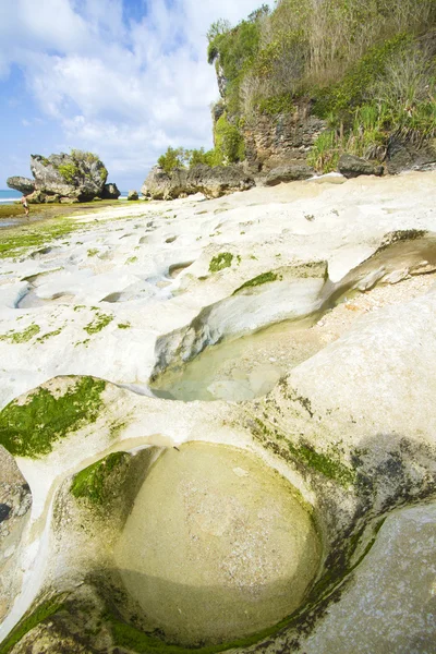 Orilla tropical del mar — Foto de Stock