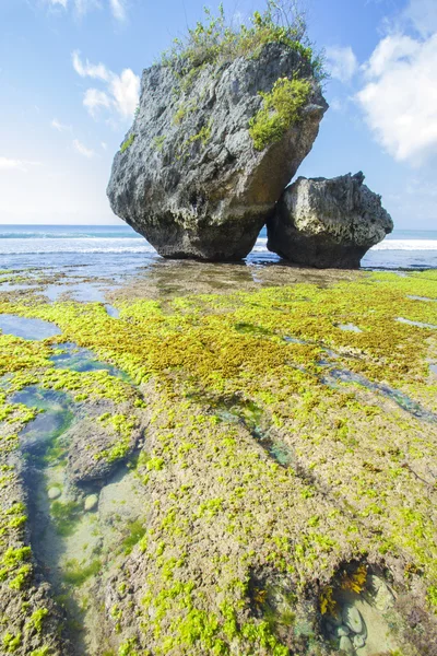 海岸与岩石 — 图库照片