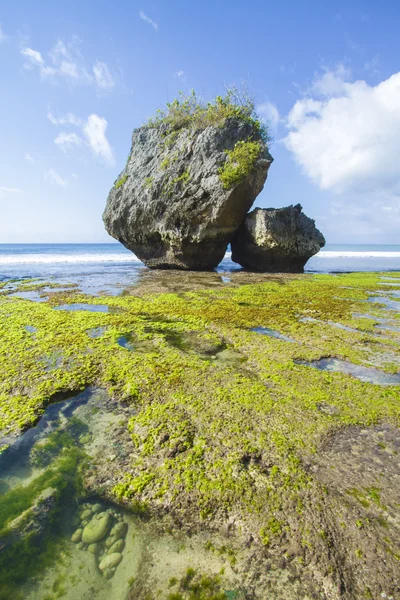 海岸与岩石 — 图库照片