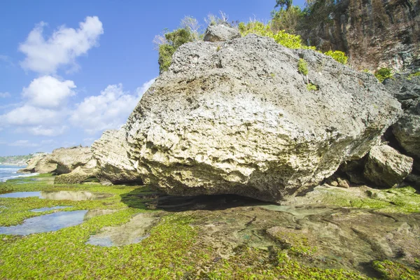 Costa con rocce — Foto Stock