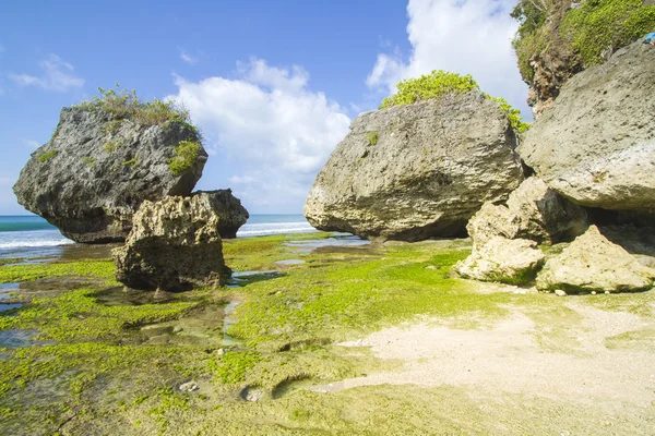 Costa con rocas — Foto de Stock