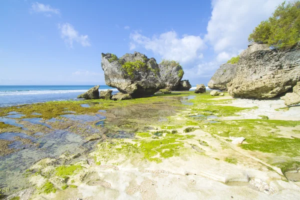 Kust landschap — Stockfoto