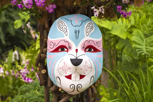 Chinese New Year Mask — Stock Photo, Image