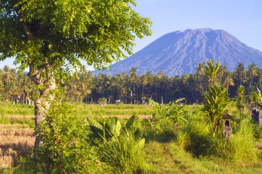 Mt. Agung, Amed, Bali.