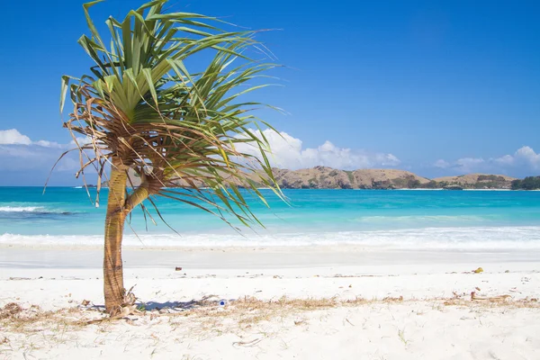 Perfekter weißer Strand — Stockfoto