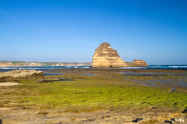 Verlaten kustlijn van Indonesië. — Stockfoto